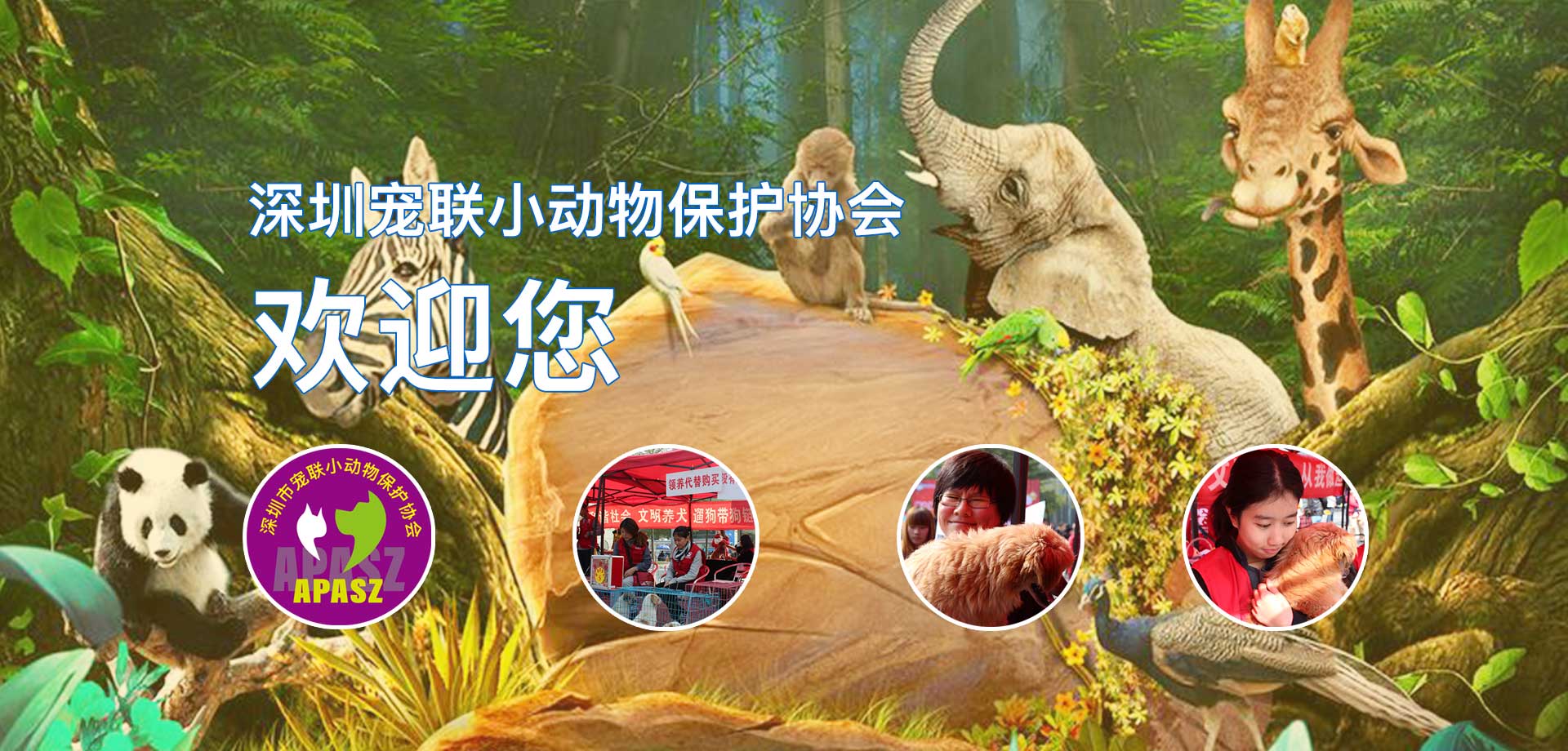 深圳宠联小动物协会欢迎您。