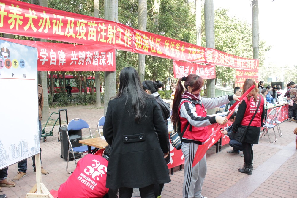 侨香社区“提倡文明养犬，共创美好家园”活动